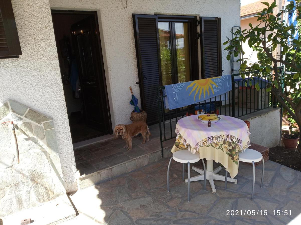 הוילה Dhílesi Sea View Dilesi מראה חיצוני תמונה
